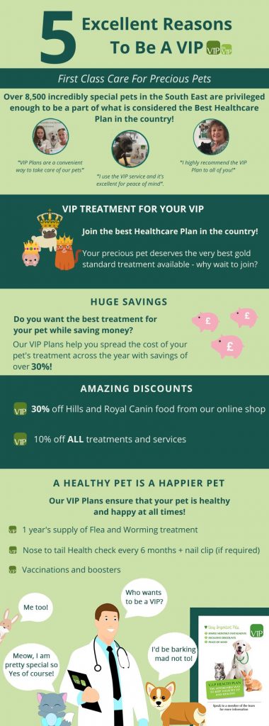 5 reasons to be a VIP